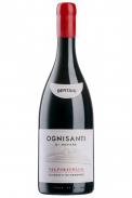 Bertani - Valpolicella Superiore Ognisanti 2020