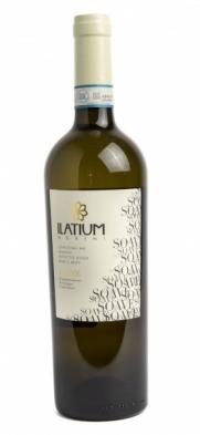 Latium - Soave 2019